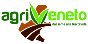 Agrivento logo
