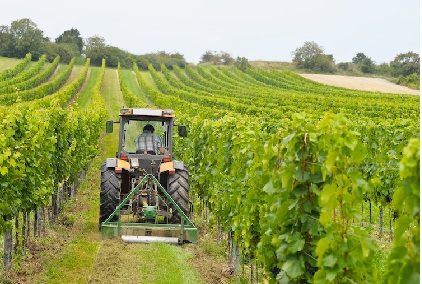 BANDO ISI - AGRICOLTURA 2016: stanziati 45 milioni di euro