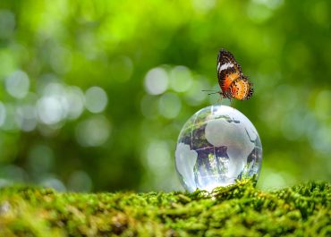 R.E.N.T.Ri Il nuovo sistema di tracciabiità dei rifiuti