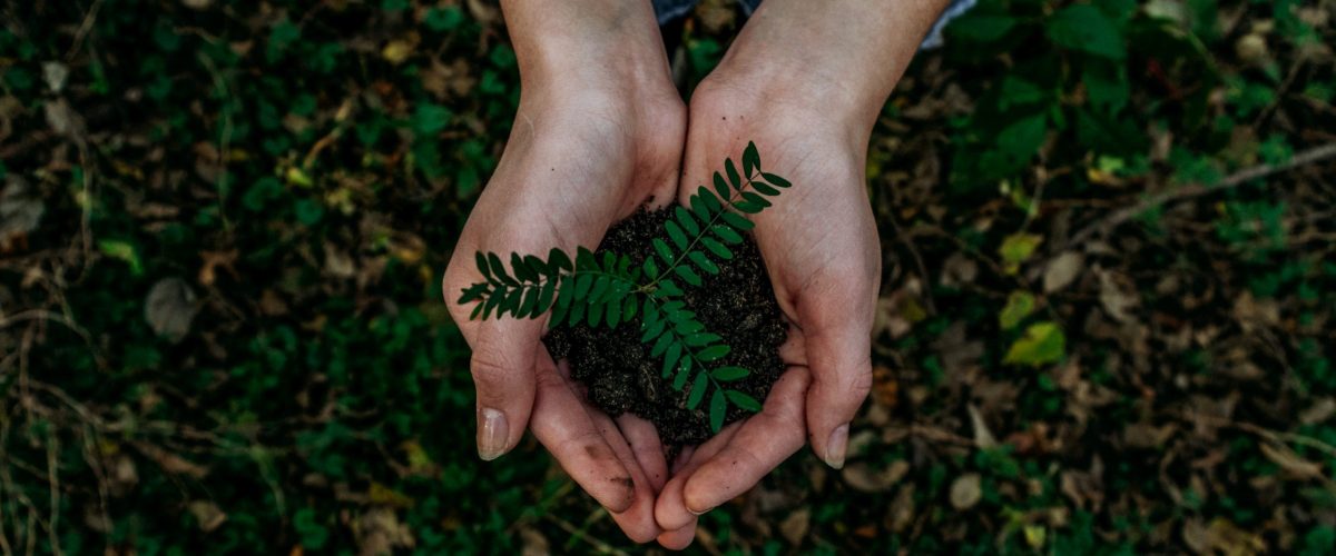 noah-buscher-x8ZStukS2PM-unsplash noah-buscher-x8ZStukS2PM-unsplash